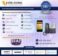 Vitel Global Communications LLC. image 2